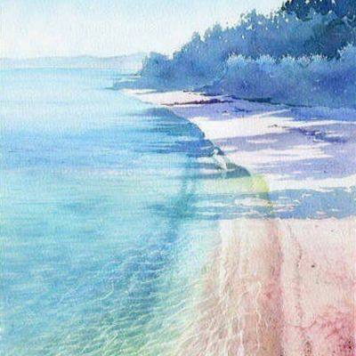 凤凰娱乐彩票官方版app网址