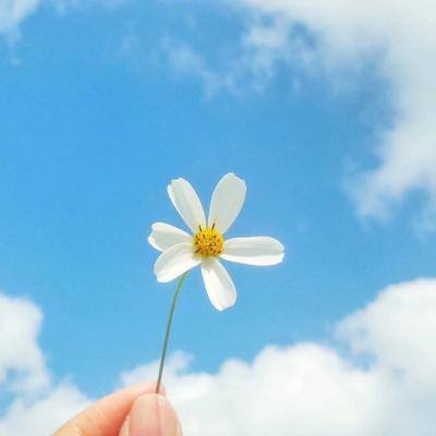 江南体育手机app下载