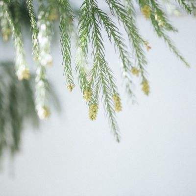 BOB体育登录入口APP下载ios