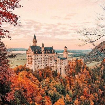 乐鱼综合APP下载截图