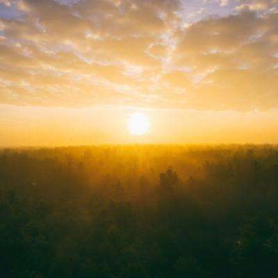 购彩中心手机app下载